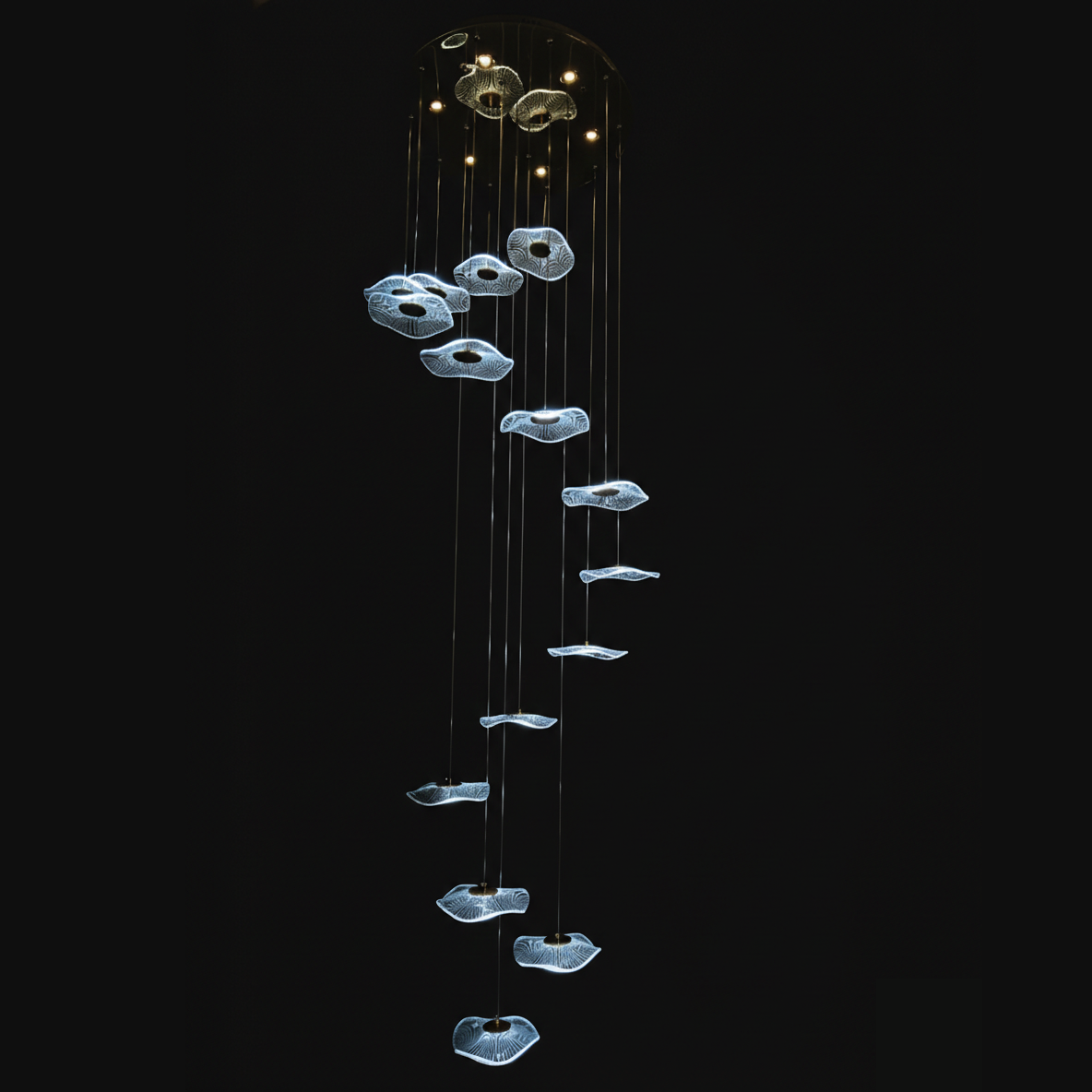 Chandelier or Multi- Light Pendant Fixture